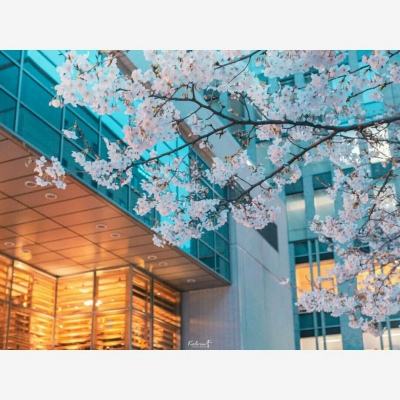 万博手机版max网页版(中国)官方网站下载手机版截图