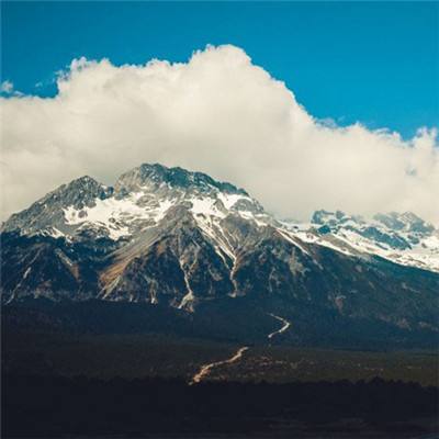 BSport·APP在线登录