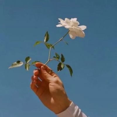 kaiyun平台app下载